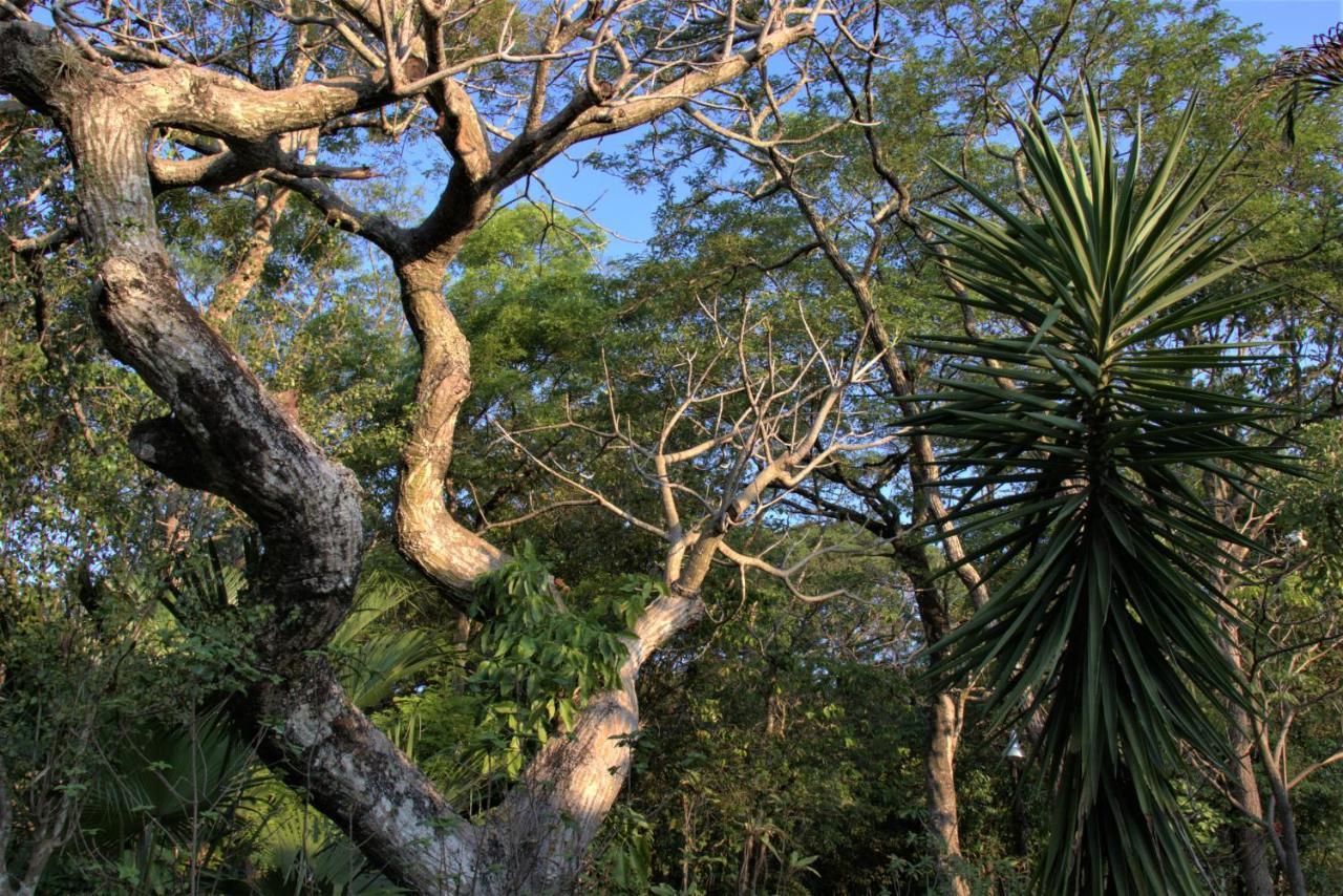 فيلا Chapada dos Guimarãesفي Casa Unica Com Piscina E Lareira A 1,2 Km Do Centro المظهر الخارجي الصورة