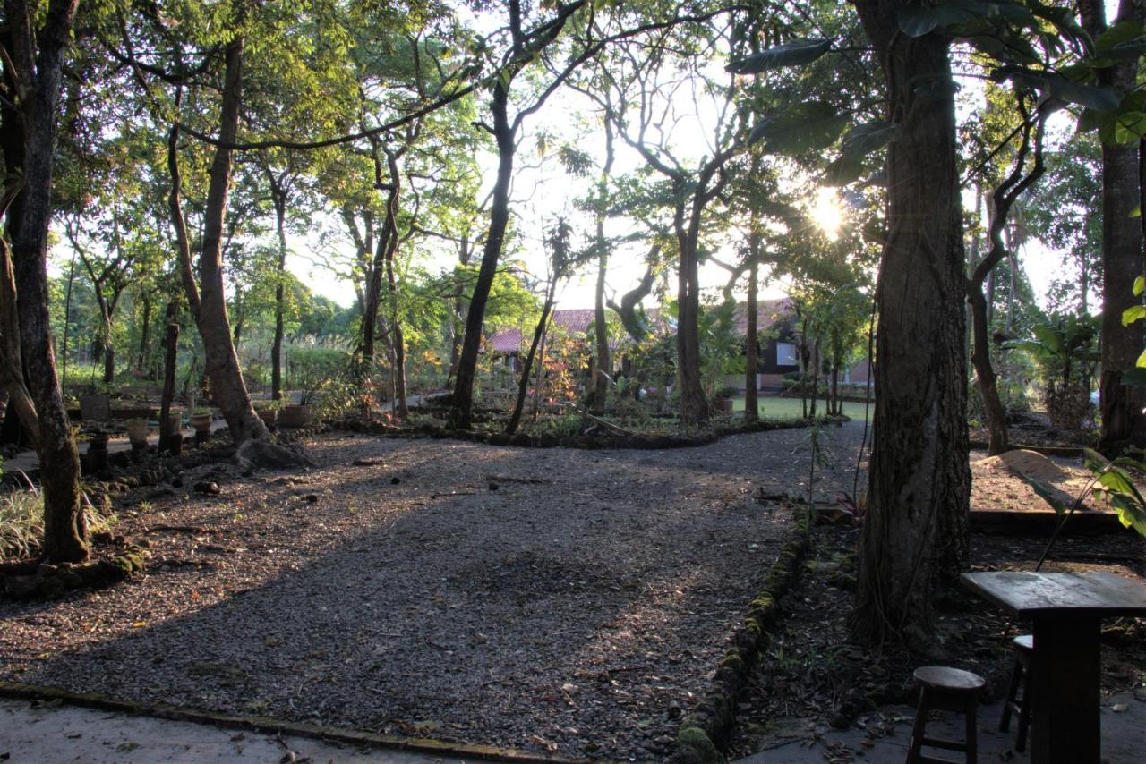 فيلا Chapada dos Guimarãesفي Casa Unica Com Piscina E Lareira A 1,2 Km Do Centro المظهر الخارجي الصورة