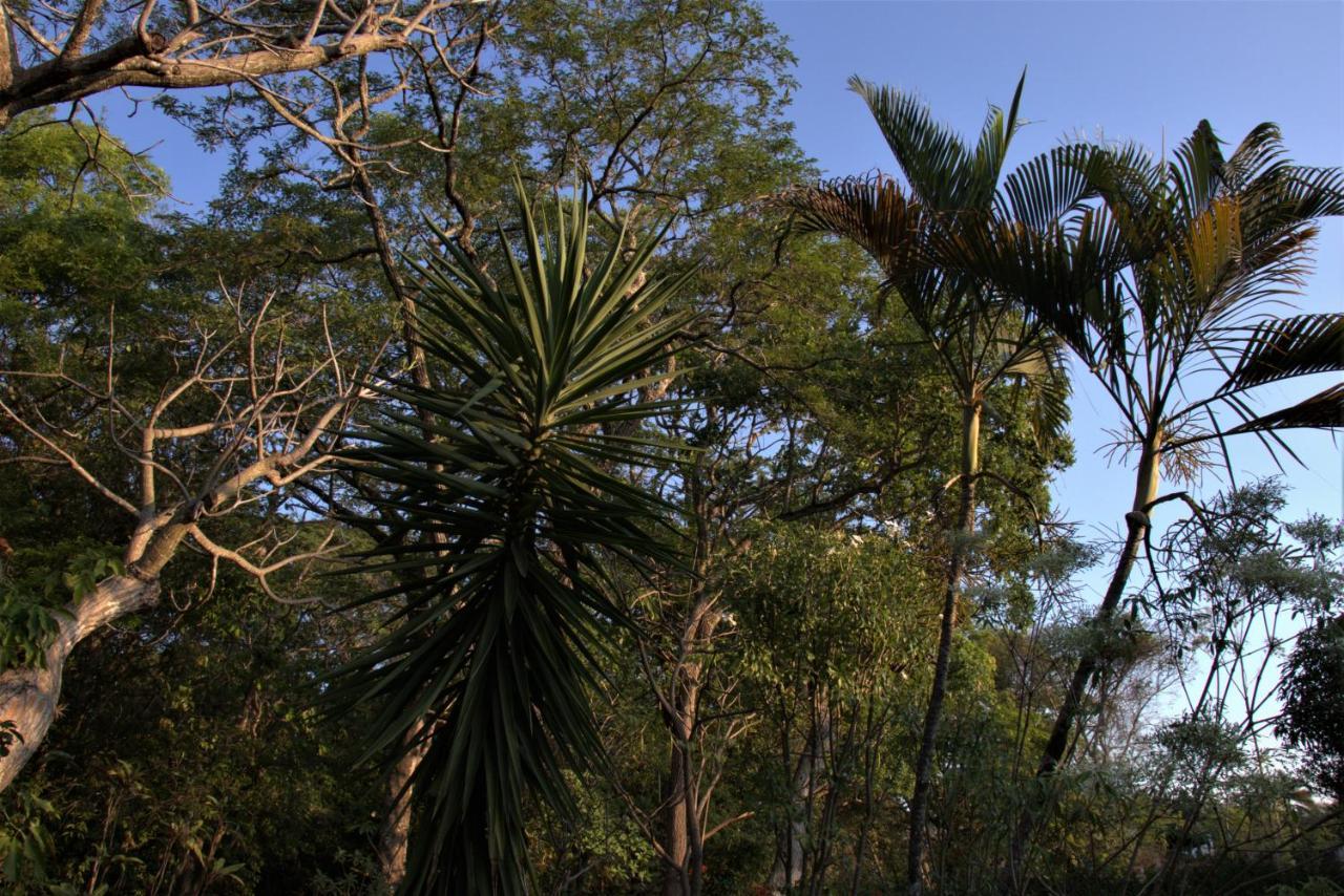 فيلا Chapada dos Guimarãesفي Casa Unica Com Piscina E Lareira A 1,2 Km Do Centro المظهر الخارجي الصورة