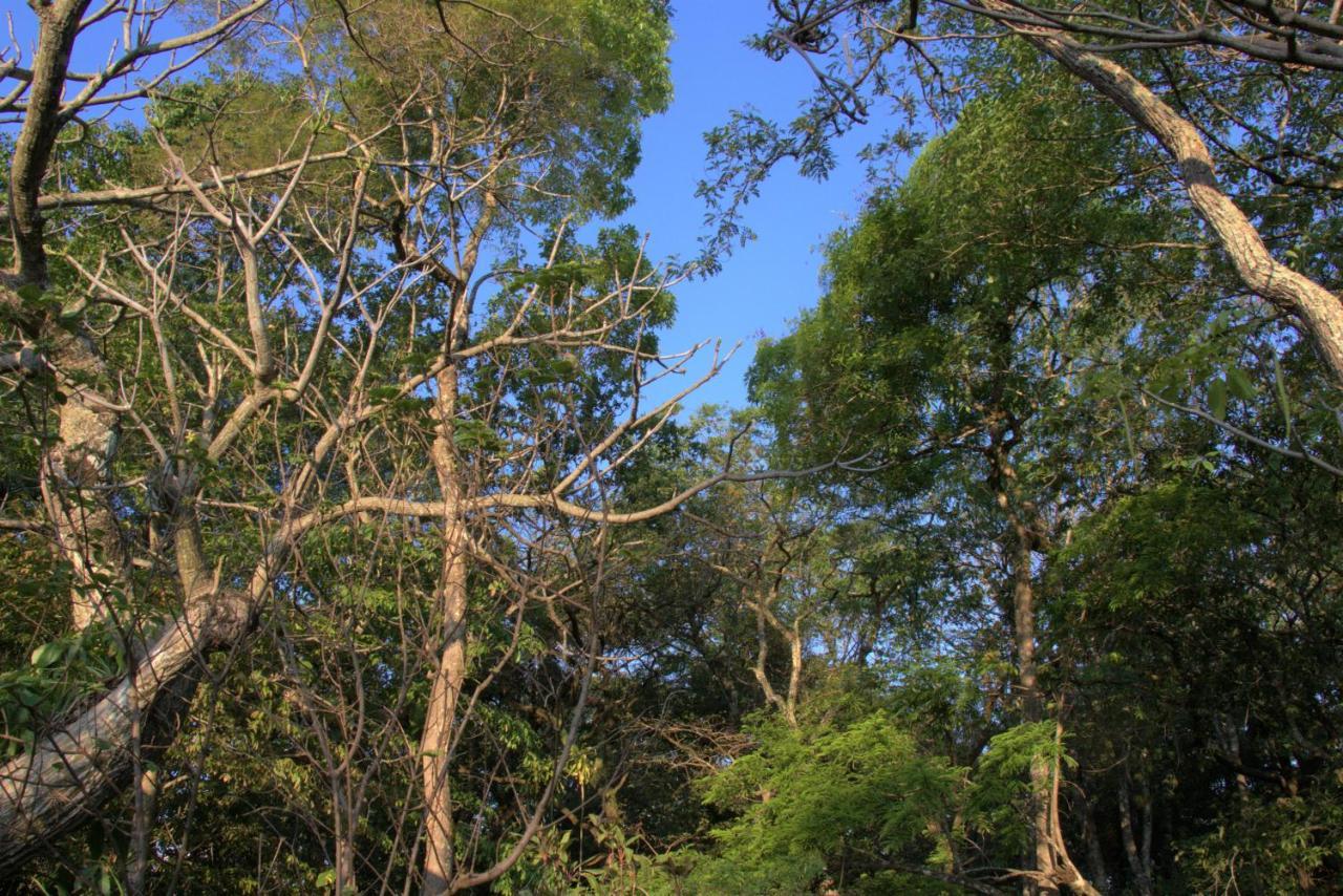 فيلا Chapada dos Guimarãesفي Casa Unica Com Piscina E Lareira A 1,2 Km Do Centro المظهر الخارجي الصورة